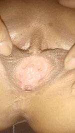 IMG20250126162017.jpg