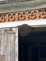 IMG_3807.jpeg IMG_3807.jpeg